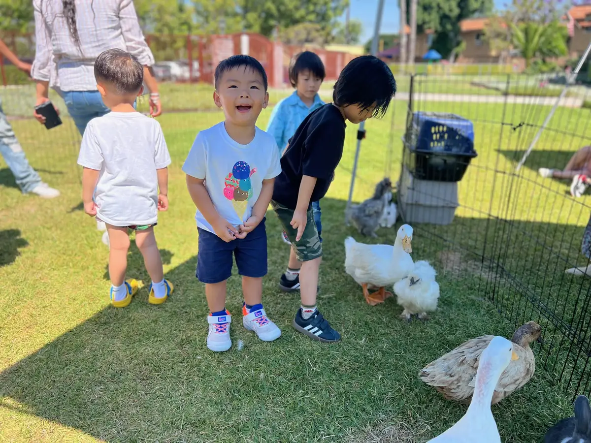 Children enjoying a summer outdoor activity interacting with ducks in a preschool outdoor learning setting